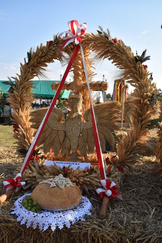 Kozodawy: Dożynki powiatowe [ZDJĘCIA]