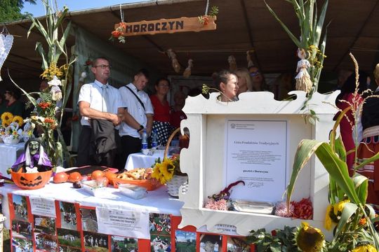 Kozodawy: Dożynki powiatowe [ZDJĘCIA]