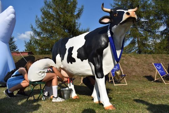 Kozodawy: Dożynki powiatowe [ZDJĘCIA]