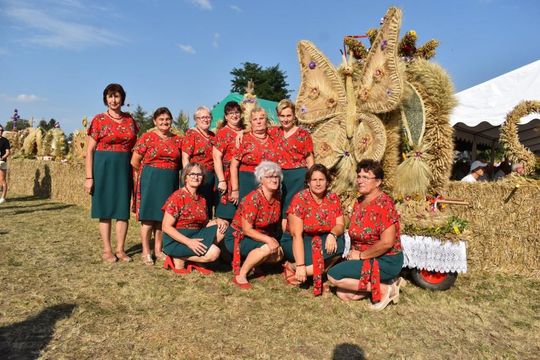 Kozodawy: Dożynki powiatowe [ZDJĘCIA]