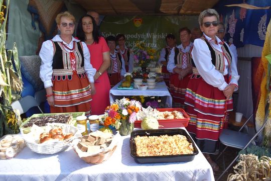 Kozodawy: Dożynki powiatowe [ZDJĘCIA]