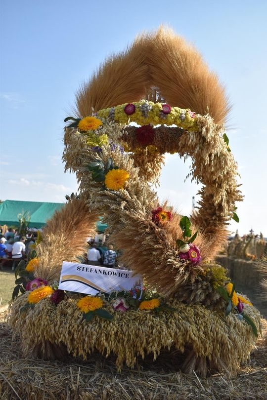Kozodawy: Dożynki powiatowe [ZDJĘCIA]