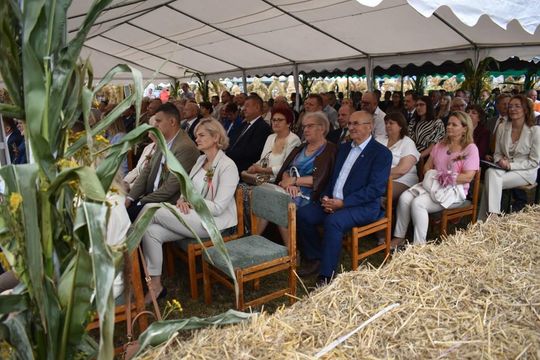 Kozodawy: Dożynki powiatowe [ZDJĘCIA]