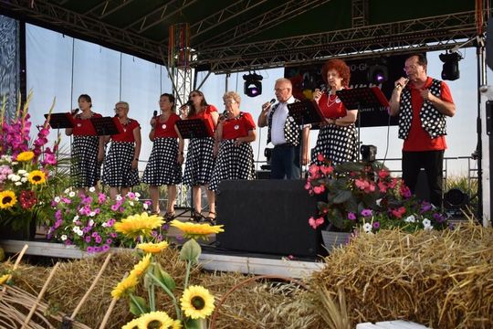 Kozodawy: Dożynki powiatowe [ZDJĘCIA]