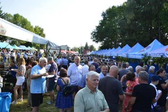 Dożynki powiatowe w Kornelówce [ZDJĘCIA]