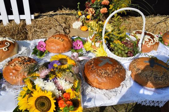 Dożynki powiatowe w Kornelówce [ZDJĘCIA]