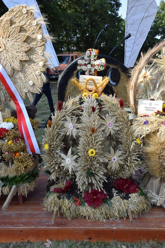 Dożynki powiatowe w Kornelówce [ZDJĘCIA]