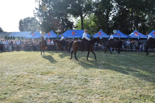 Dożynki powiatowe w Kornelówce [ZDJĘCIA]