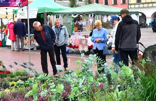 Zamość: Jubileuszowy festiwal zdrowej żywności [ZDJĘCIA]
