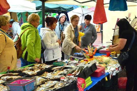 Zamość: Jubileuszowy festiwal zdrowej żywności [ZDJĘCIA]