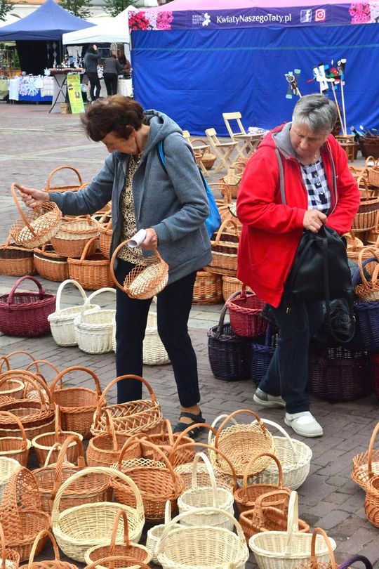 Zamość: Jubileuszowy festiwal zdrowej żywności [ZDJĘCIA]