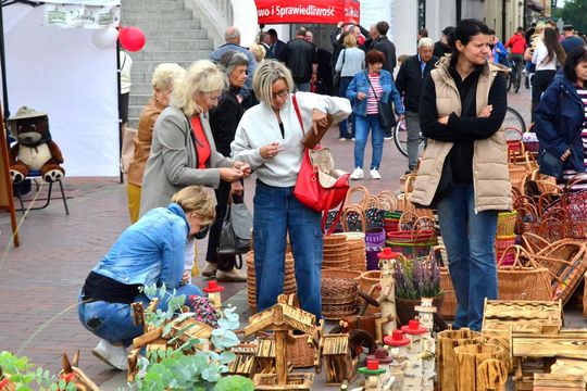 Zamość: Jubileuszowy festiwal zdrowej żywności [ZDJĘCIA]