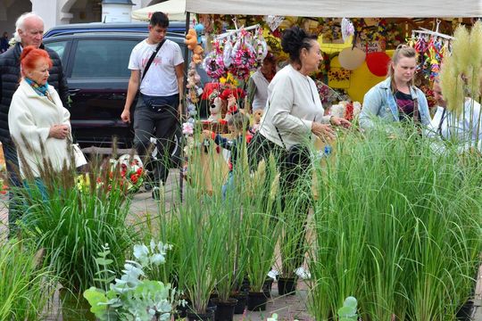 Zamość: Jubileuszowy festiwal zdrowej żywności [ZDJĘCIA]
