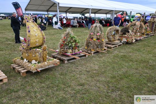 Dożynki Wojewódzkie w Świdniku cz. I [GALERIA ZDJĘĆ]