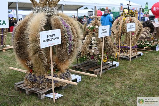 Dożynki Wojewódzkie w Świdniku cz. I [GALERIA ZDJĘĆ]