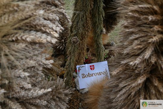 Dożynki Wojewódzkie w Świdniku cz. I [GALERIA ZDJĘĆ]