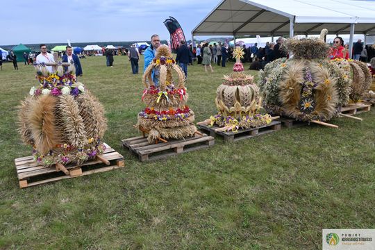 Dożynki Wojewódzkie w Świdniku cz. I [GALERIA ZDJĘĆ]