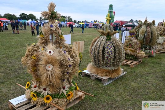 Dożynki Wojewódzkie w Świdniku cz. I [GALERIA ZDJĘĆ]