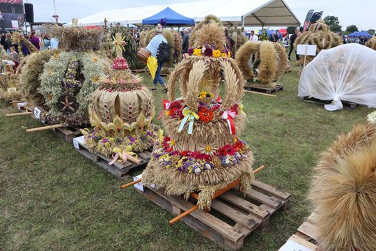 Dożynki Wojewódzkie w Świdniku cz. II [GALERIA ZDJĘĆ]
