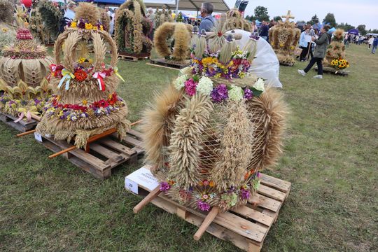 Dożynki Wojewódzkie w Świdniku cz. II [GALERIA ZDJĘĆ]