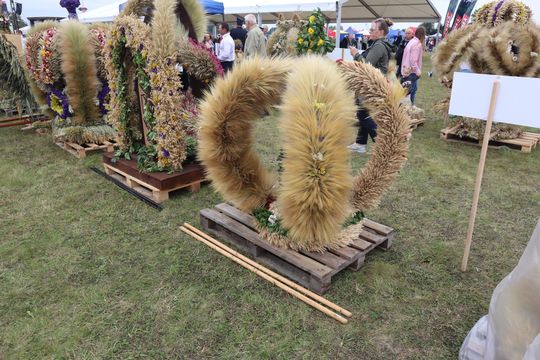 Dożynki Wojewódzkie w Świdniku cz. II [GALERIA ZDJĘĆ]