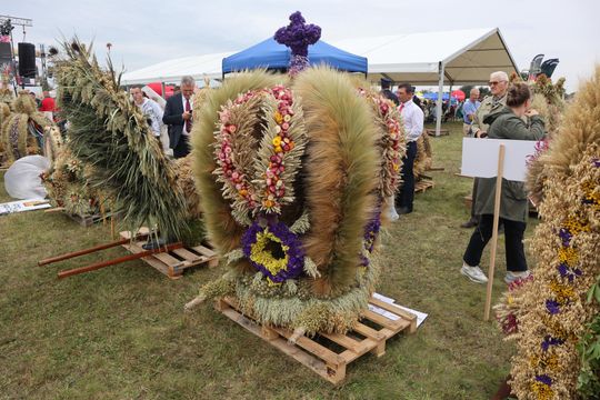 Dożynki Wojewódzkie w Świdniku cz. II [GALERIA ZDJĘĆ]