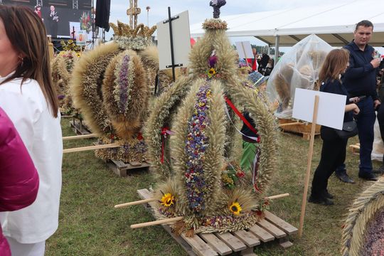 Dożynki Wojewódzkie w Świdniku cz. II [GALERIA ZDJĘĆ]