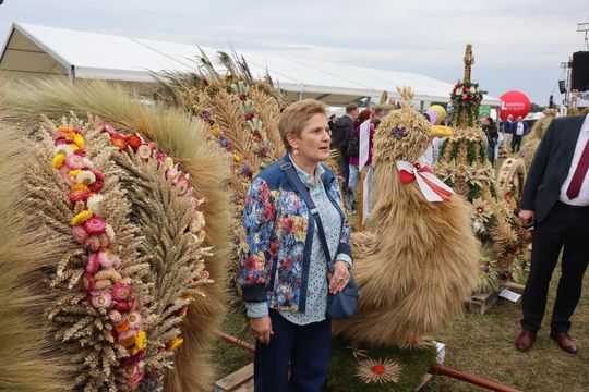 Dożynki Wojewódzkie w Świdniku cz. II [GALERIA ZDJĘĆ]