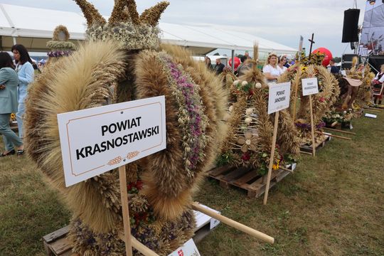 Dożynki Wojewódzkie w Świdniku cz. II [GALERIA ZDJĘĆ]