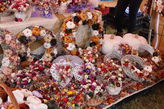 Dożynki Wojewódzkie w Świdniku cz. II [GALERIA ZDJĘĆ]