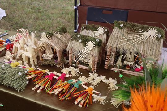 Dożynki Wojewódzkie w Świdniku cz. II [GALERIA ZDJĘĆ]