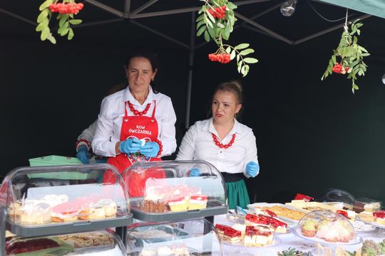 Dożynki Wojewódzkie w Świdniku cz. II [GALERIA ZDJĘĆ]