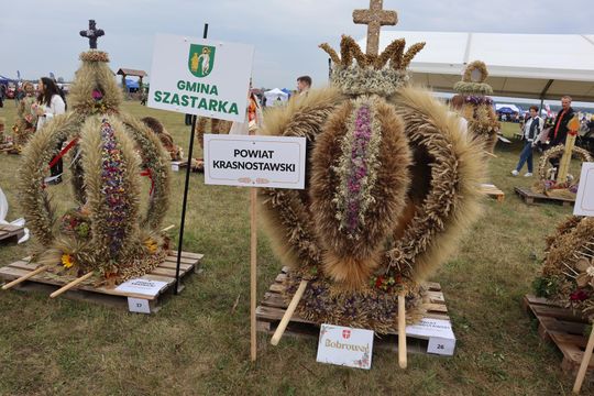 Dożynki Wojewódzkie w Świdniku cz. III [GALERIA ZDJĘĆ]