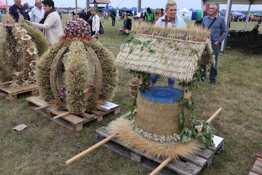 Dożynki Wojewódzkie w Świdniku cz. III [GALERIA ZDJĘĆ]