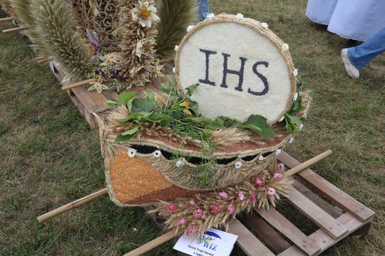 Dożynki Wojewódzkie w Świdniku cz. III [GALERIA ZDJĘĆ]