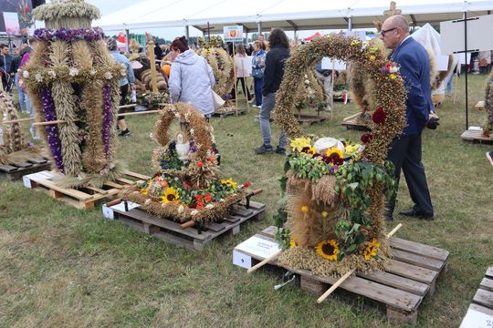 Dożynki Wojewódzkie w Świdniku cz. III [GALERIA ZDJĘĆ]