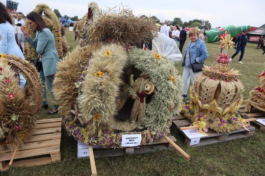 Dożynki Wojewódzkie w Świdniku cz. III [GALERIA ZDJĘĆ]