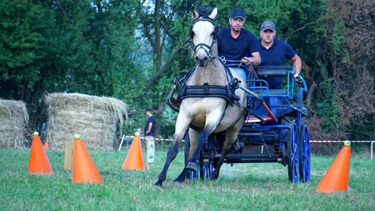 Zlot Zaprzęgów Konnych w Gorajcu Starej Wsi [ZDJĘCIA]
