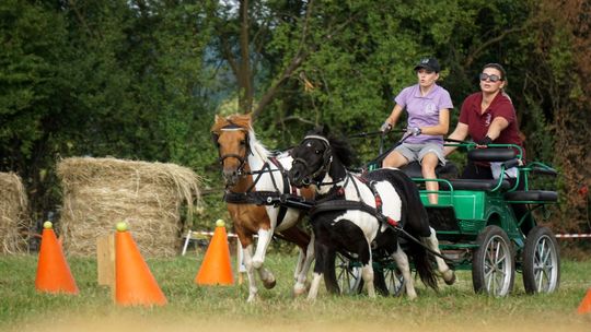 Zlot Zaprzęgów Konnych w Gorajcu Starej Wsi [ZDJĘCIA]