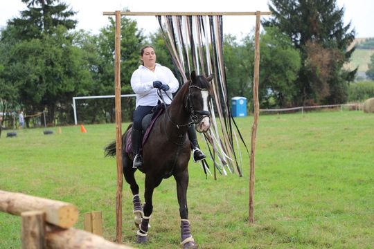 Zlot Zaprzęgów Konnych w Gorajcu Starej Wsi [ZDJĘCIA]