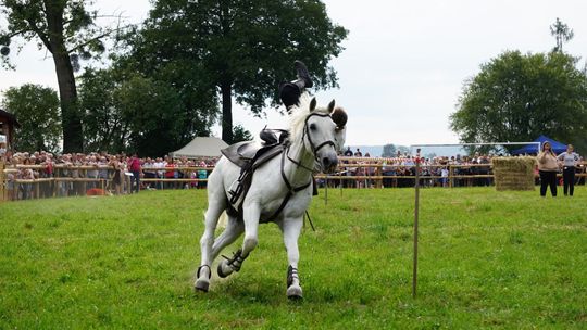 Zlot Zaprzęgów Konnych w Gorajcu Starej Wsi [ZDJĘCIA]