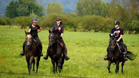 Zlot Zaprzęgów Konnych w Gorajcu Starej Wsi [ZDJĘCIA]