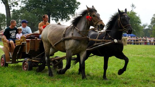 Zlot Zaprzęgów Konnych w Gorajcu Starej Wsi [ZDJĘCIA]