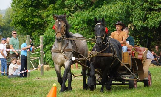 Zlot Zaprzęgów Konnych w Gorajcu Starej Wsi [ZDJĘCIA]