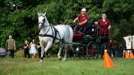 Zlot Zaprzęgów Konnych w Gorajcu Starej Wsi [ZDJĘCIA]