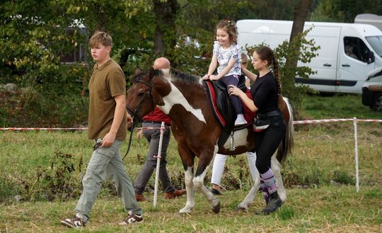 Zlot Zaprzęgów Konnych w Gorajcu Starej Wsi [ZDJĘCIA]