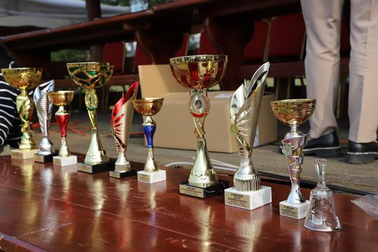 Zlot Zaprzęgów Konnych w Gorajcu Starej Wsi [ZDJĘCIA]