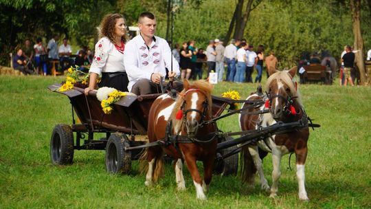 Zlot Zaprzęgów Konnych w Gorajcu Starej Wsi [ZDJĘCIA]