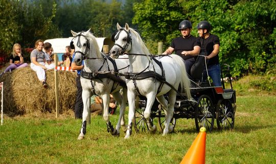 Zlot Zaprzęgów Konnych w Gorajcu Starej Wsi [ZDJĘCIA]