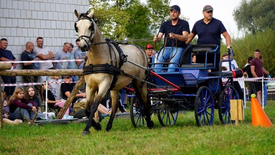 Zlot Zaprzęgów Konnych w Gorajcu Starej Wsi [ZDJĘCIA]